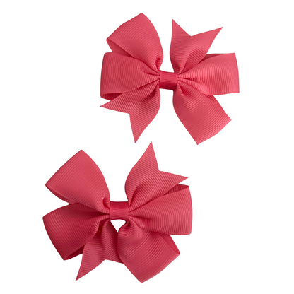 Ribbon Hair Clip 2pcs