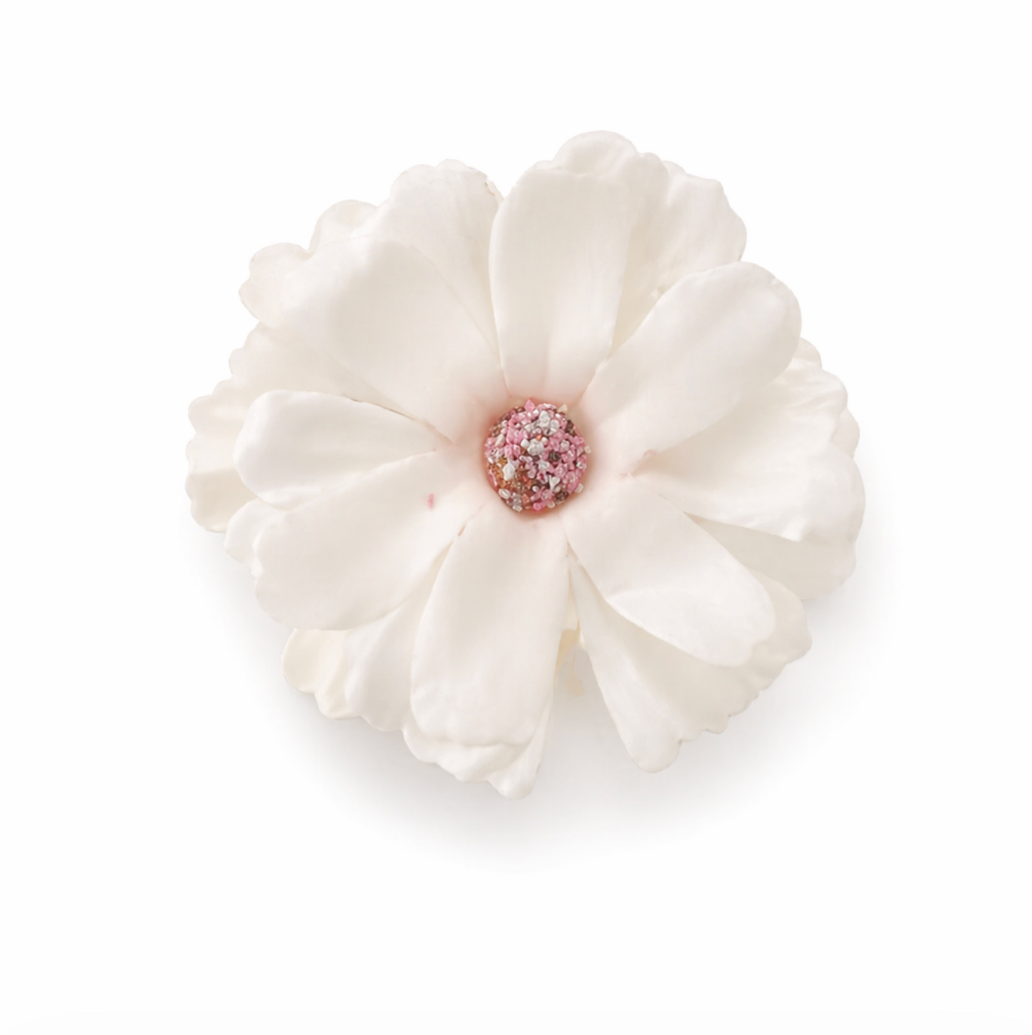 Blossom Petal Hair Claw Clip 2pcs