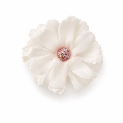 Blossom Petal Hair Claw Clip 2pcs